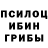 Псилоцибиновые грибы мухоморы DiSo
