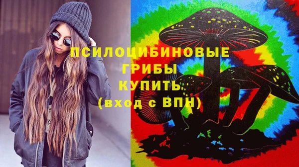 гидропоника Алексеевка